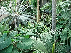 324 Longwood Gardens [2008 August 23]